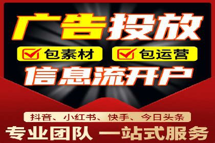 网络推广中的竞价广告：成功案例解析